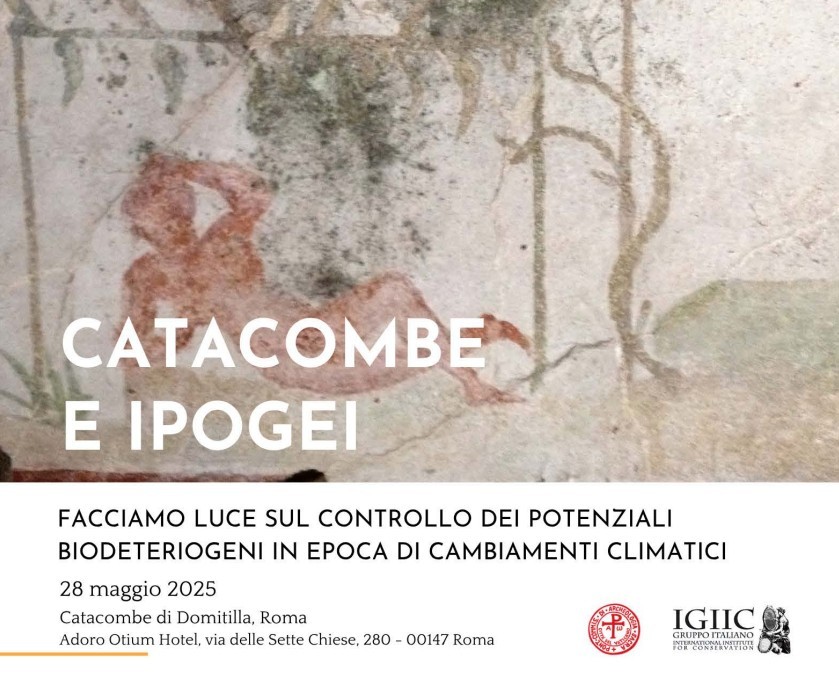 Immagine 2025-06-06 090102